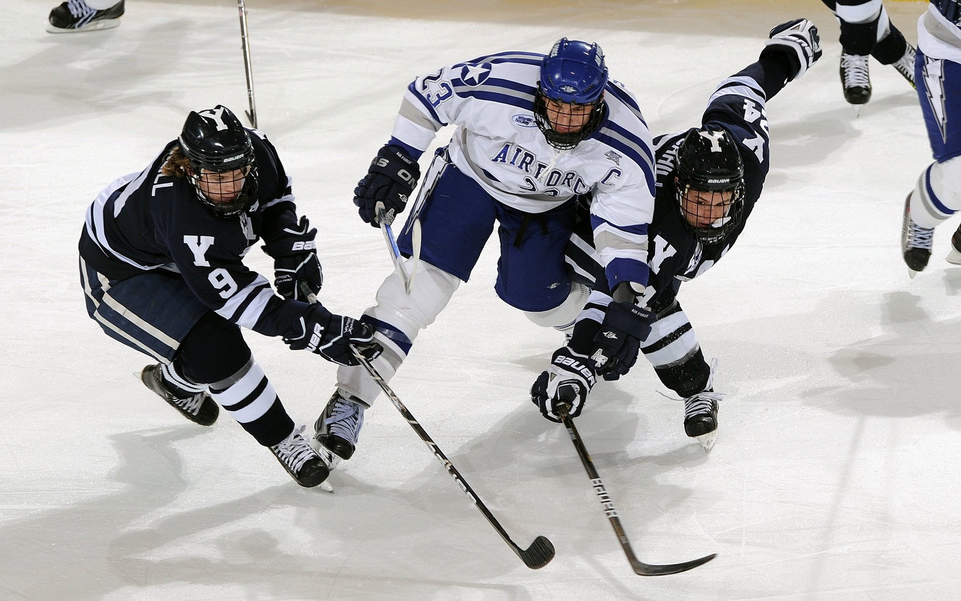 _篮网团队配合默契，持续占据联盟榜首_，篮网队介绍