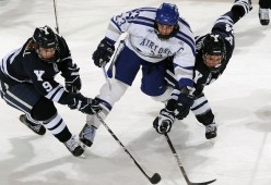 开云体育-_大赛期间的安全措施：保障运动员与观众安全_，参加比赛安全预案