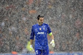 开云-克罗地亚马术协会与学校合作，开展马术教育课程，推广马术文化。