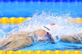 德国马术协会引入智能马鞍系统，实现实时数据监测与分析，提升骑乘体验。